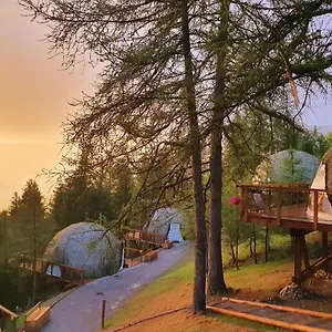 https://alpin-dhome.fr-provencehotel.com